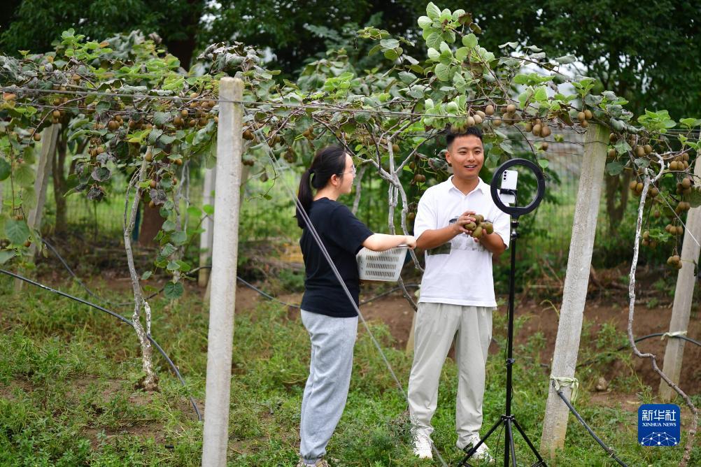 拉菲平台登录1
